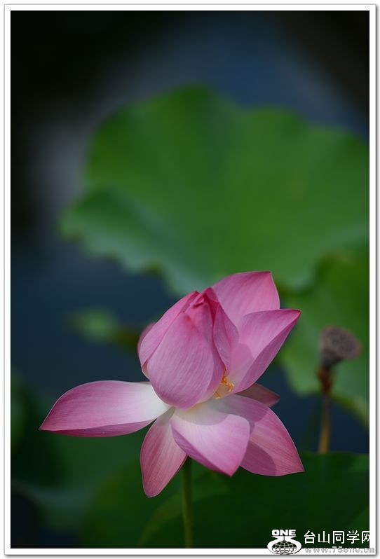nEO_IMG_DSC_1674.jpg