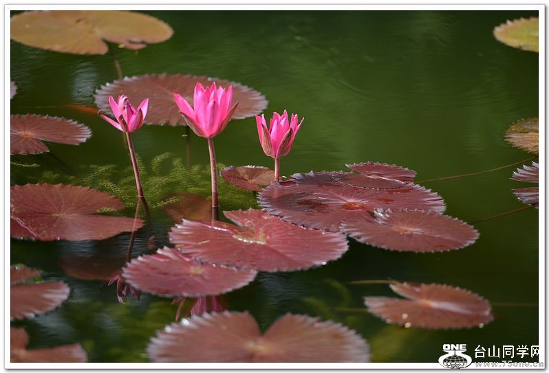 nEO_IMG_DSC_1694.jpg