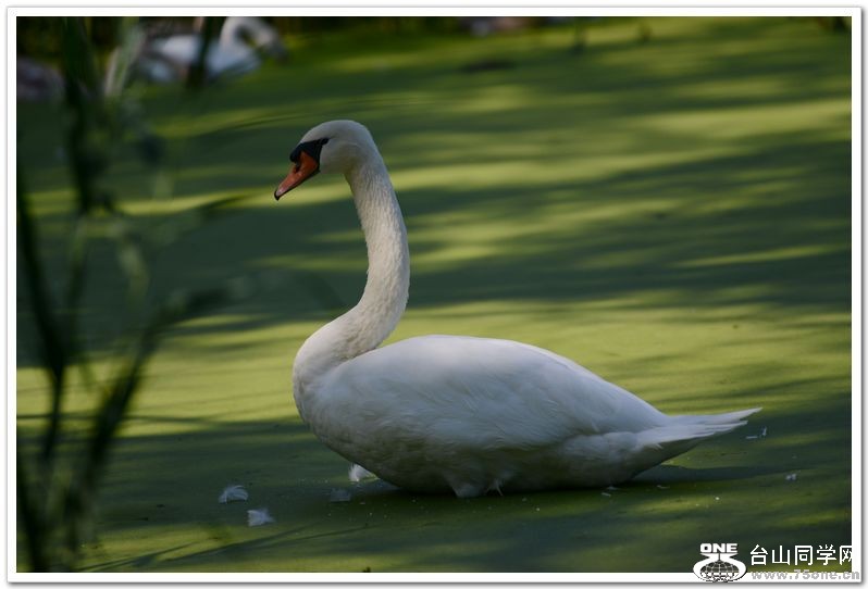 nEO_IMG_DSC_5149.jpg