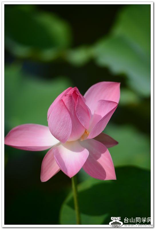 nEO_IMG_DSC_1671.jpg