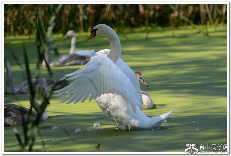 nEO_IMG_DSC_5180.jpg