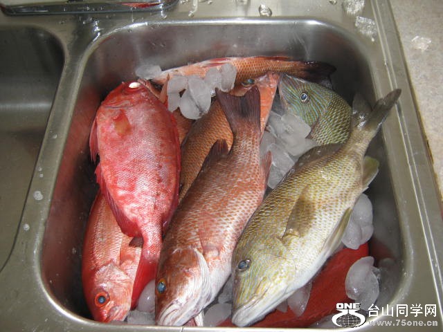 IMG_1467.JPG