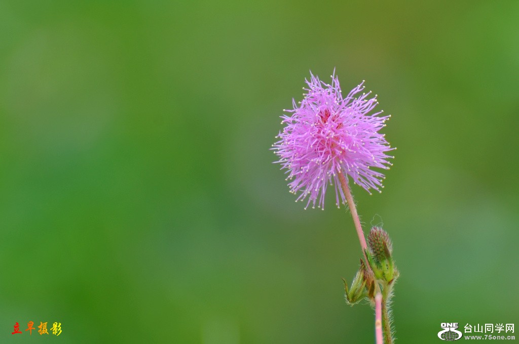 DSC_2665.JPG
