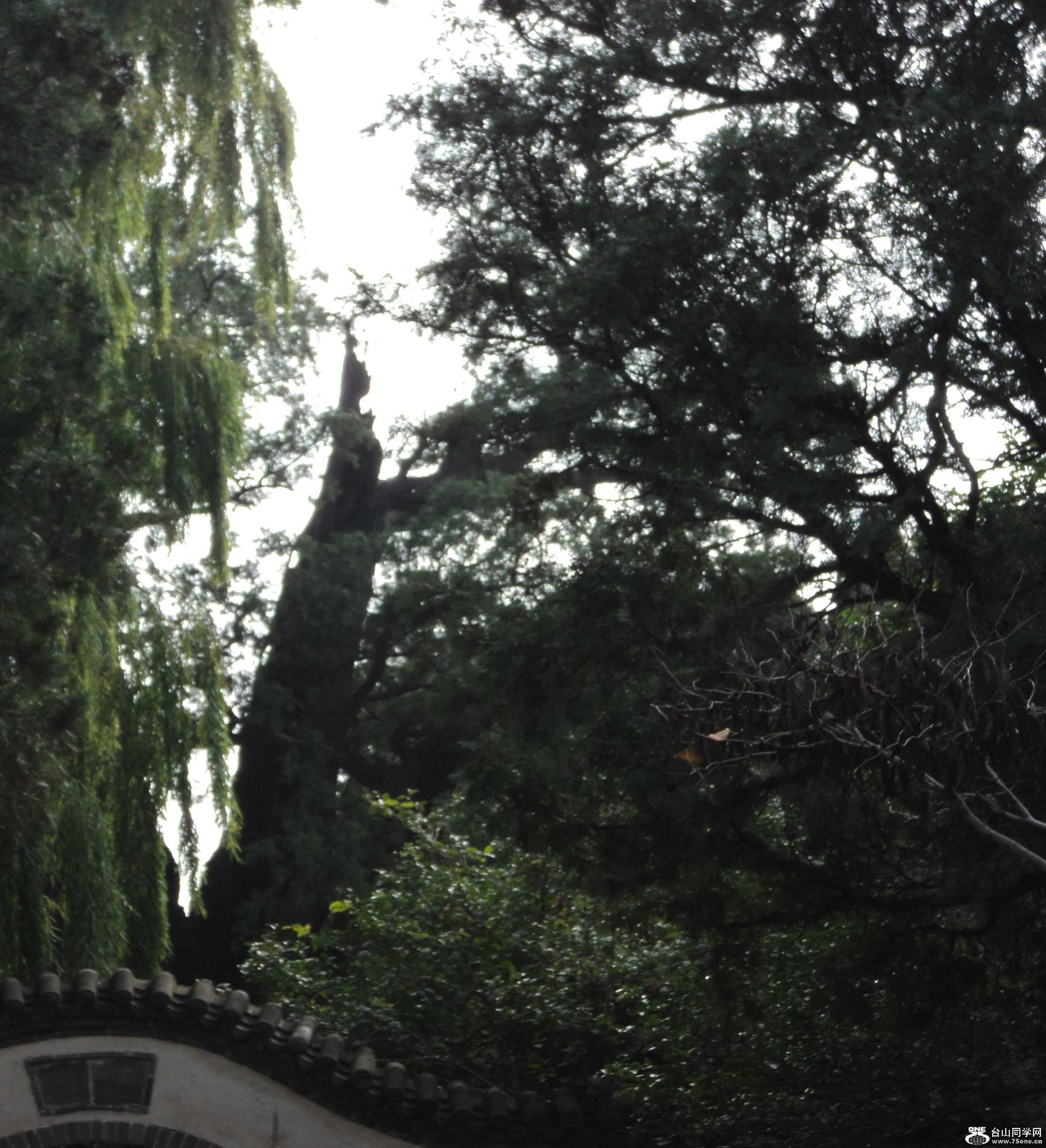 DSC01297.JPG