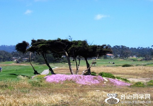 201266152652431.jpg