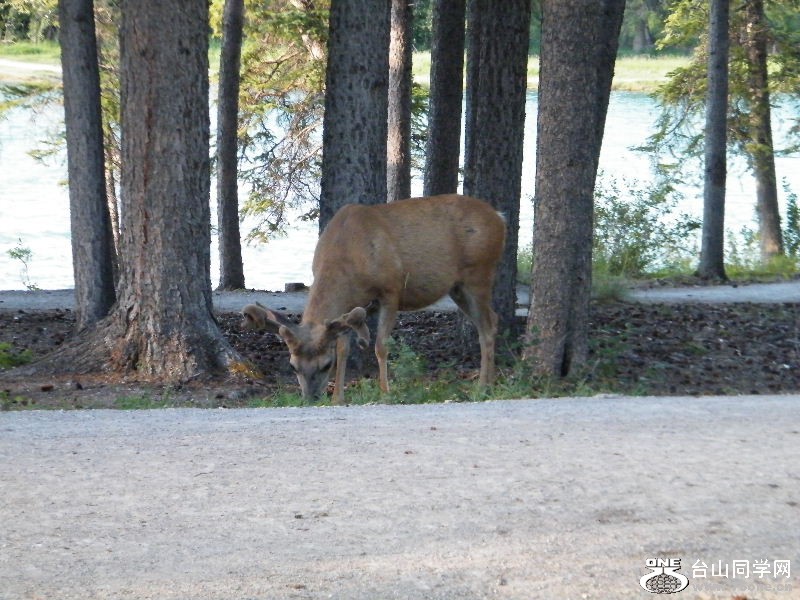 DSCF7594.JPG