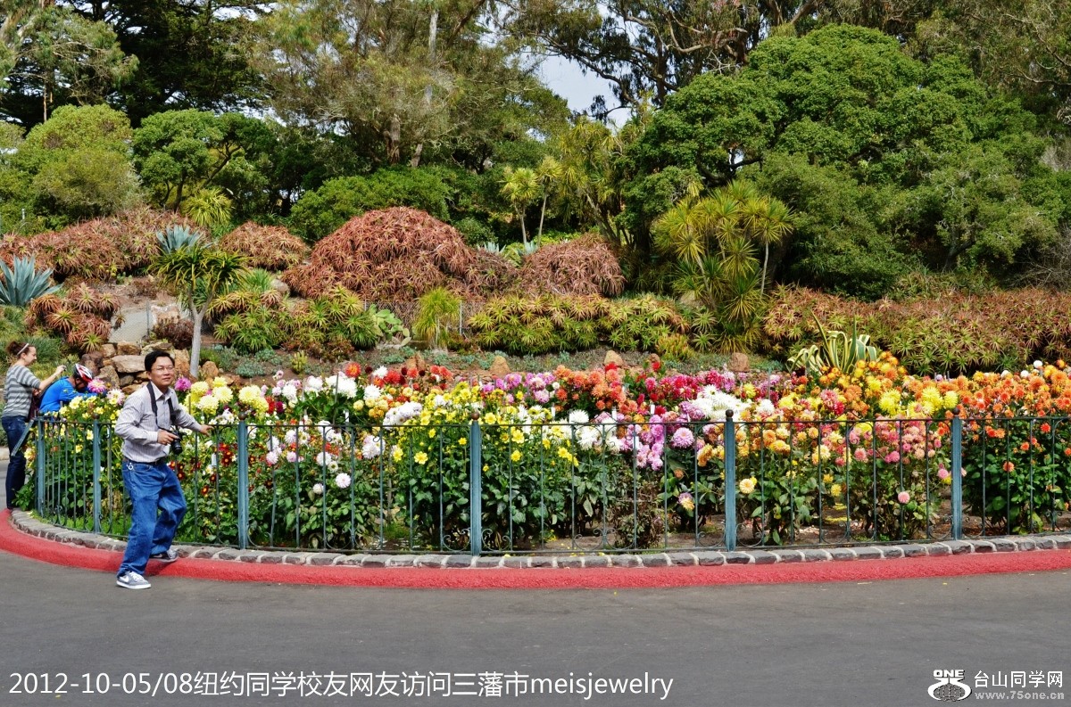 DSC_2557 (1200x793).jpg