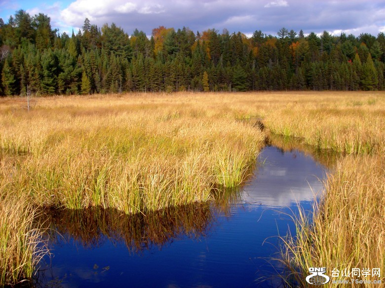 DSC02128_conew1.jpg