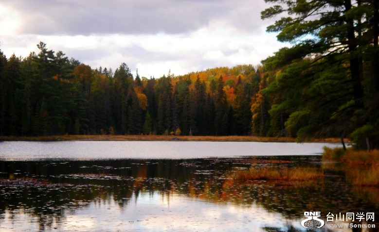 DSC02141_conew1.jpg