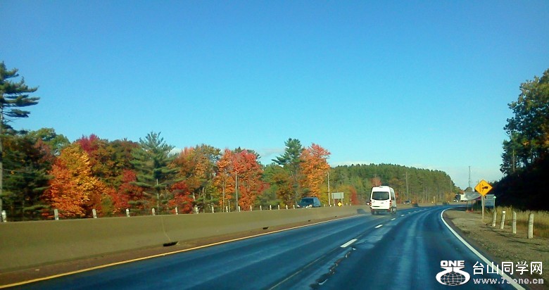 IMG568_conew1.jpg