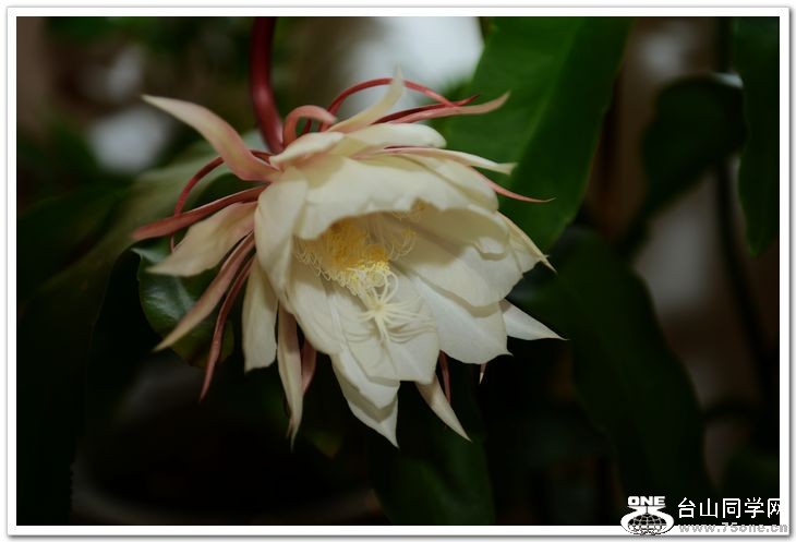 nEO_IMG_DSC_8532.jpg