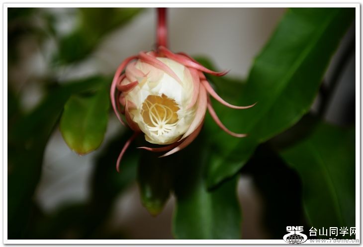 nEO_IMG_DSC_8470.jpg