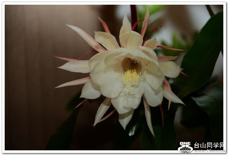 nEO_IMG_DSC_8547.jpg