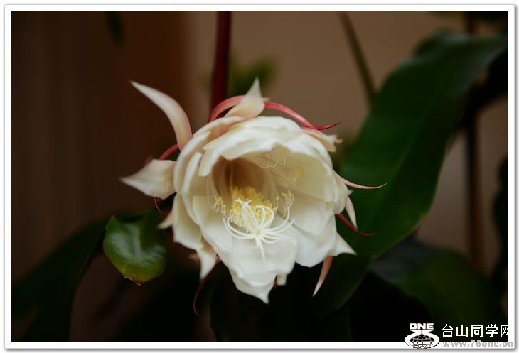 nEO_IMG_DSC_8497.jpg