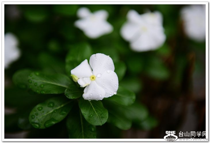 nEO_IMG_DSC_6931.jpg