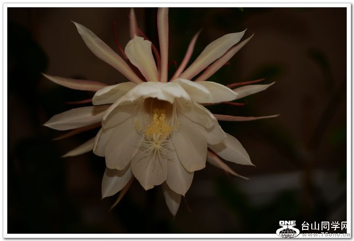 nEO_IMG_DSC_8626.jpg