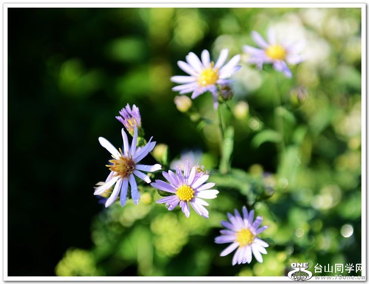 nEO_IMG_DSC_7357.jpg