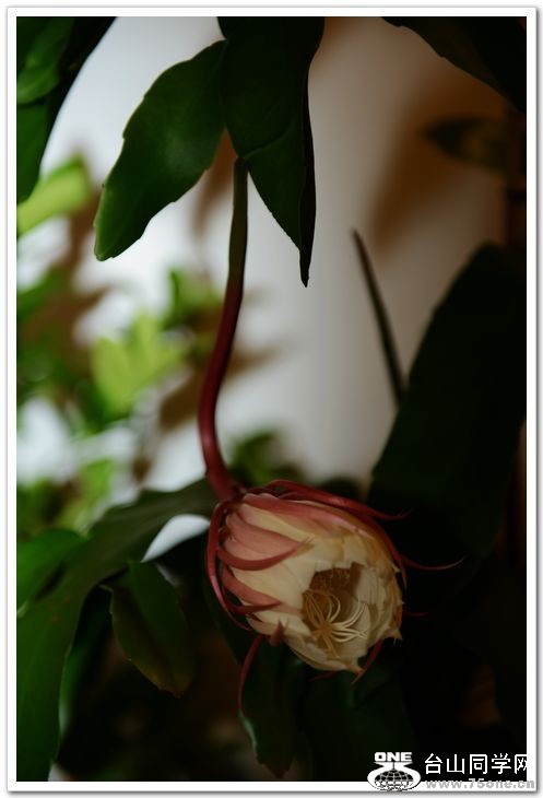 nEO_IMG_DSC_8480.jpg