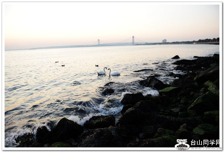 nEO_IMG_DSC_7395.jpg