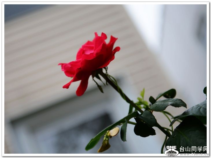 nEO_IMG_DSC_7291.jpg