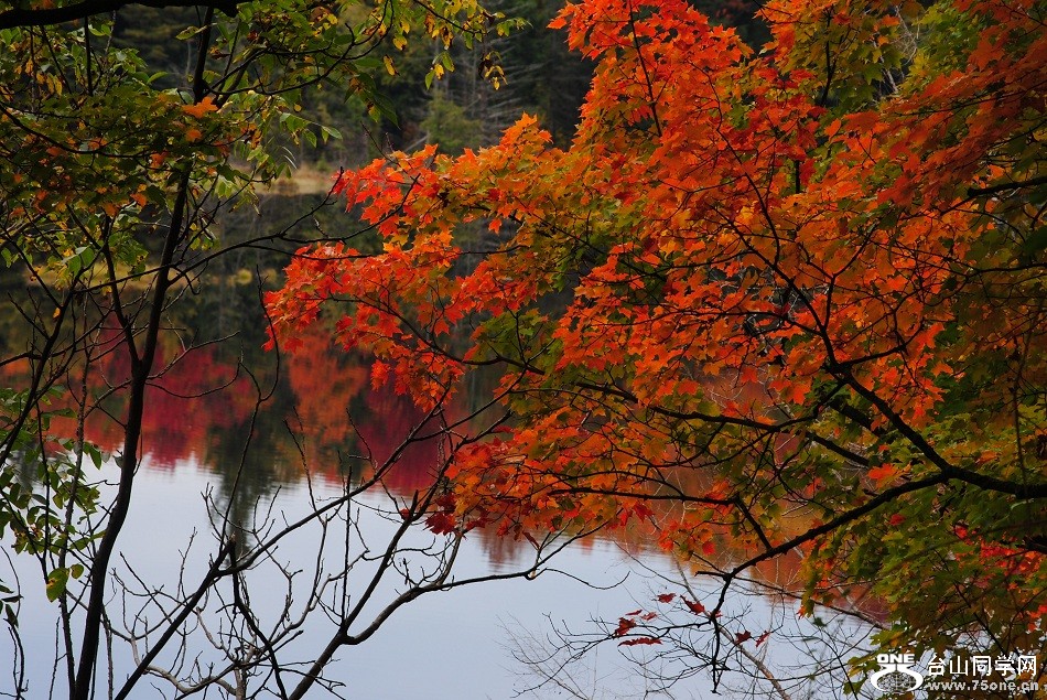 DSC_8333.JPG