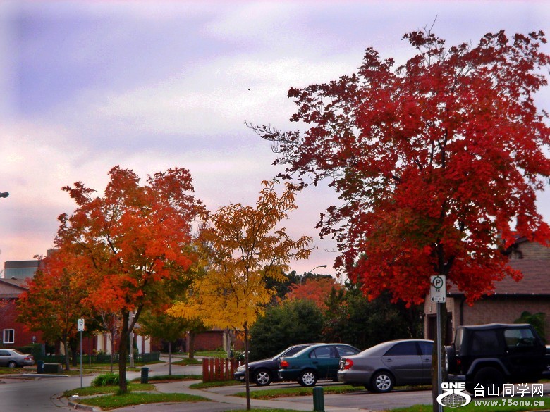 DSC01905_conew1.jpg