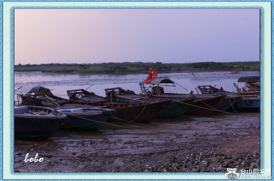 _MG_1171_.jpg