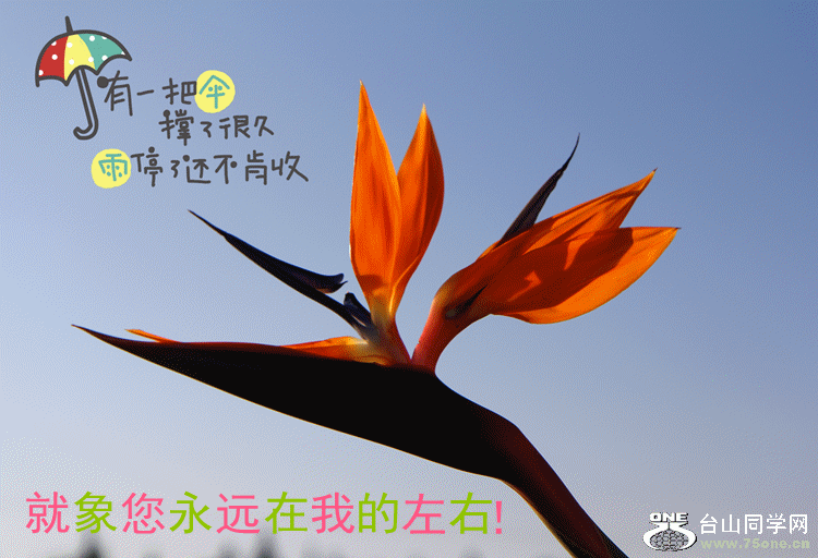 IMG_4976_54-3.gif