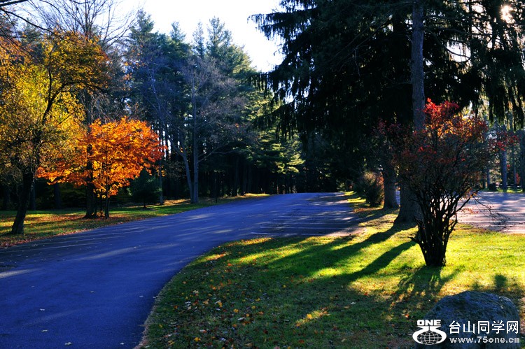 DSC_5737.jpg