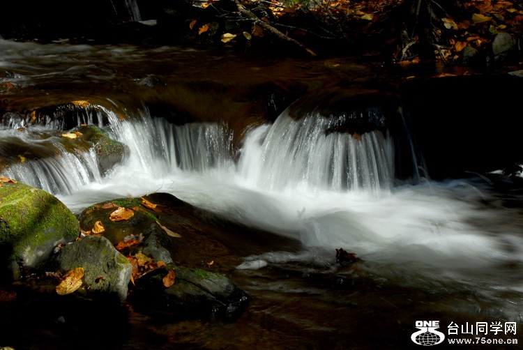 DSC_0022.jpg