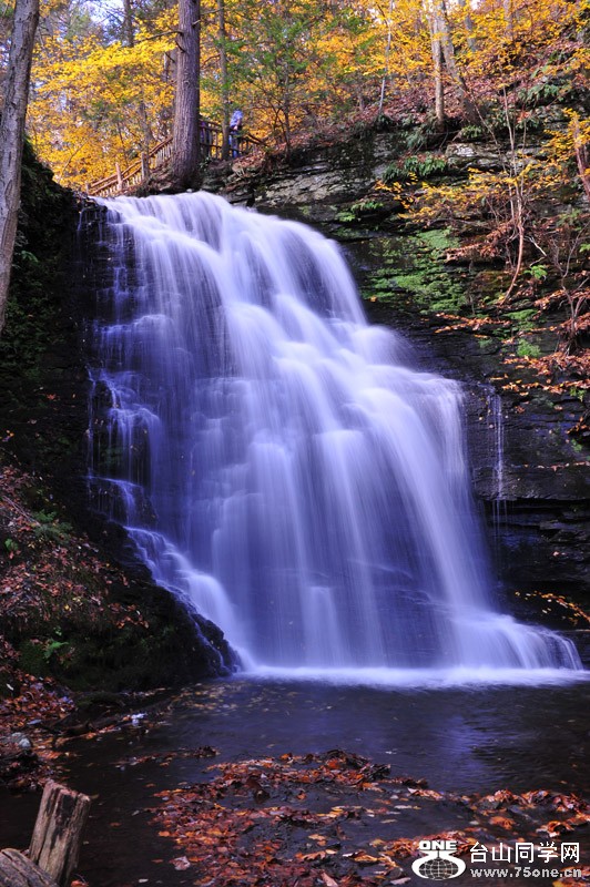 DSC_5881.jpg