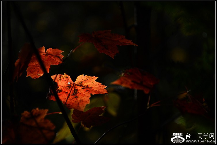 DSC_3608.JPG