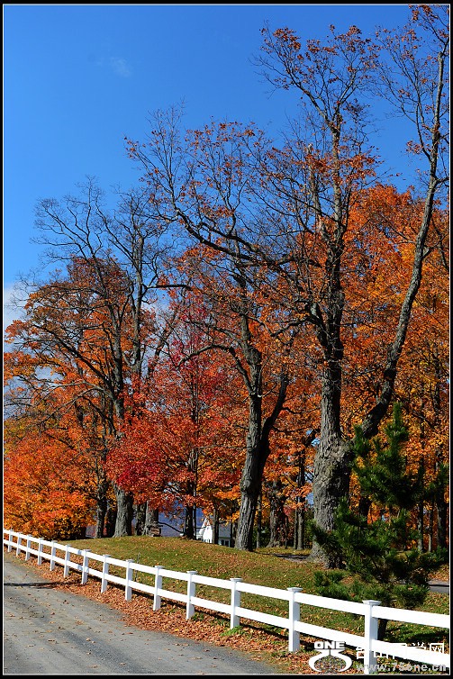 DSC_4051.JPG
