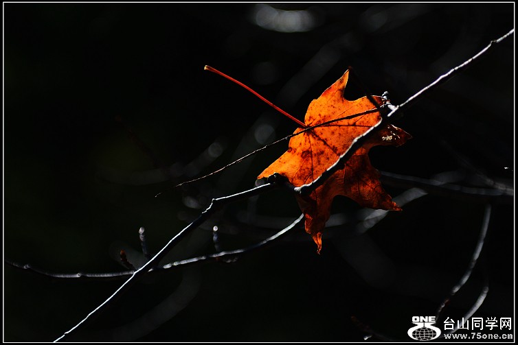 DSC_3868.JPG