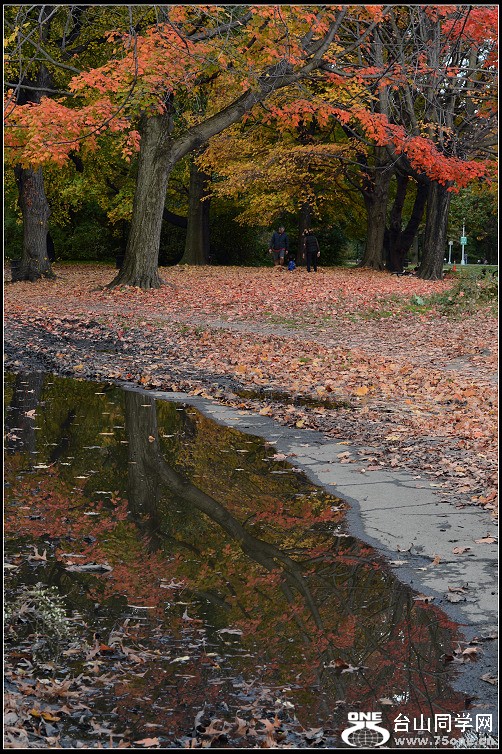 DSC_4638.JPG