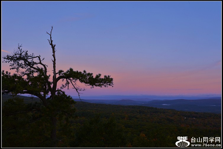 DSC_2291.JPG