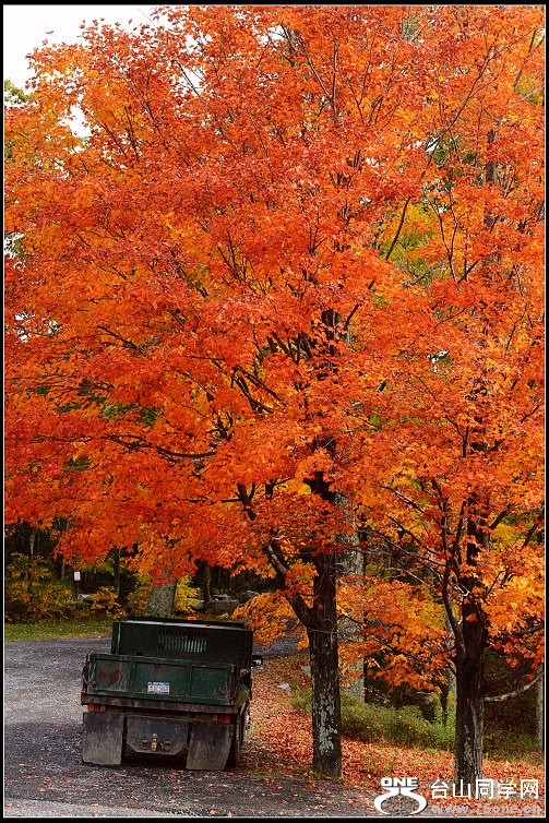 DSC_2395.JPG