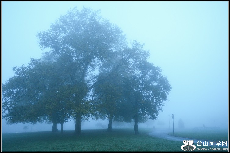 DSC_2785.JPG