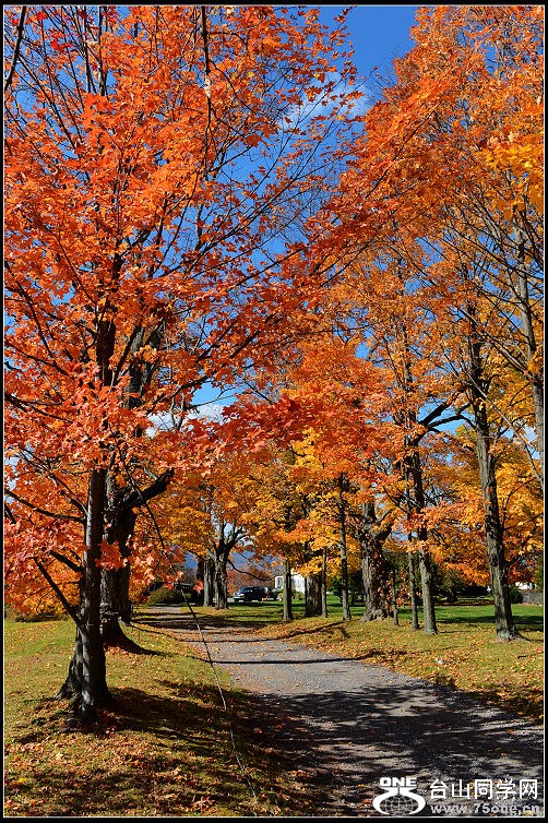 DSC_4075.JPG