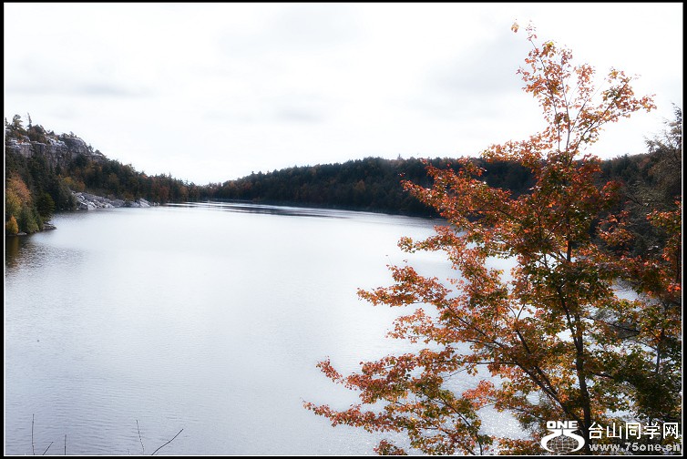 DSC_2537.JPG