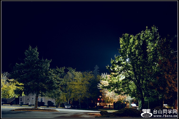 DSC_3062.JPG