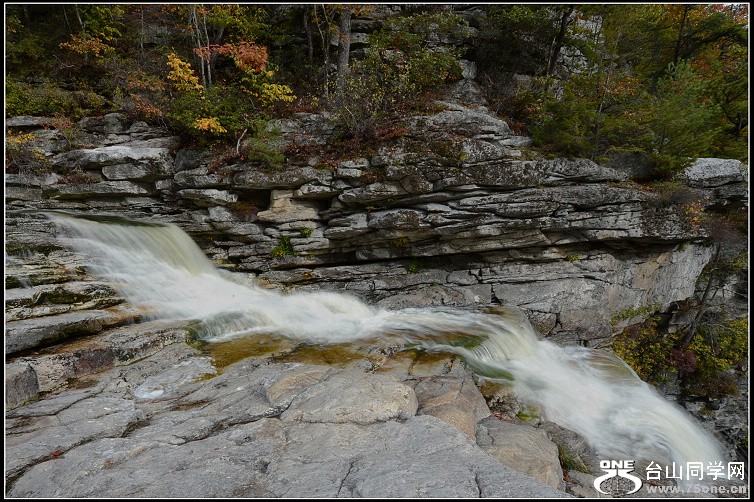 DSC_2426.JPG