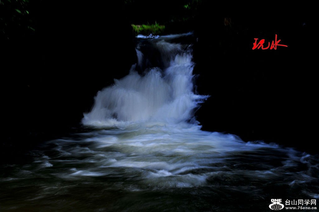 DSC_0303_conew1.jpg
