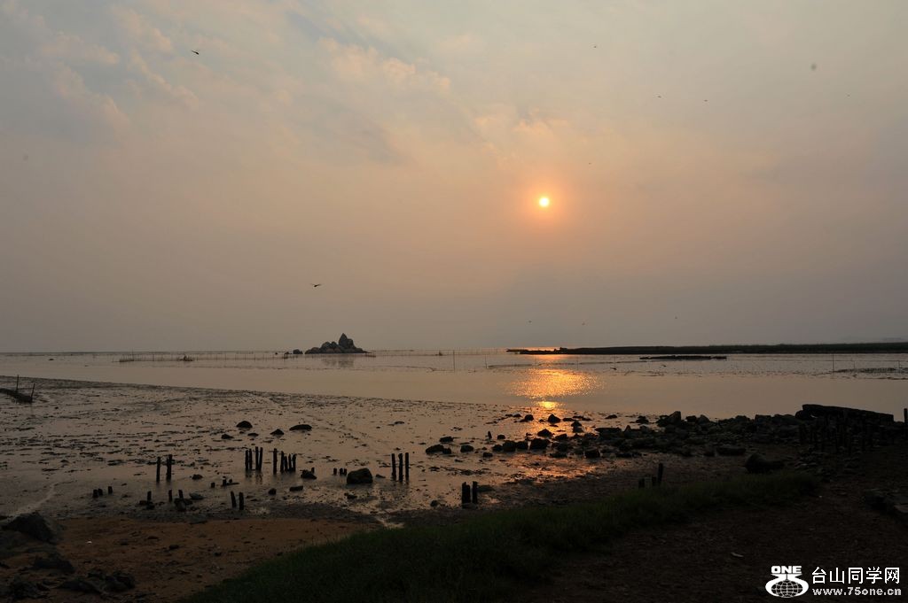 DSC_9454.jpg