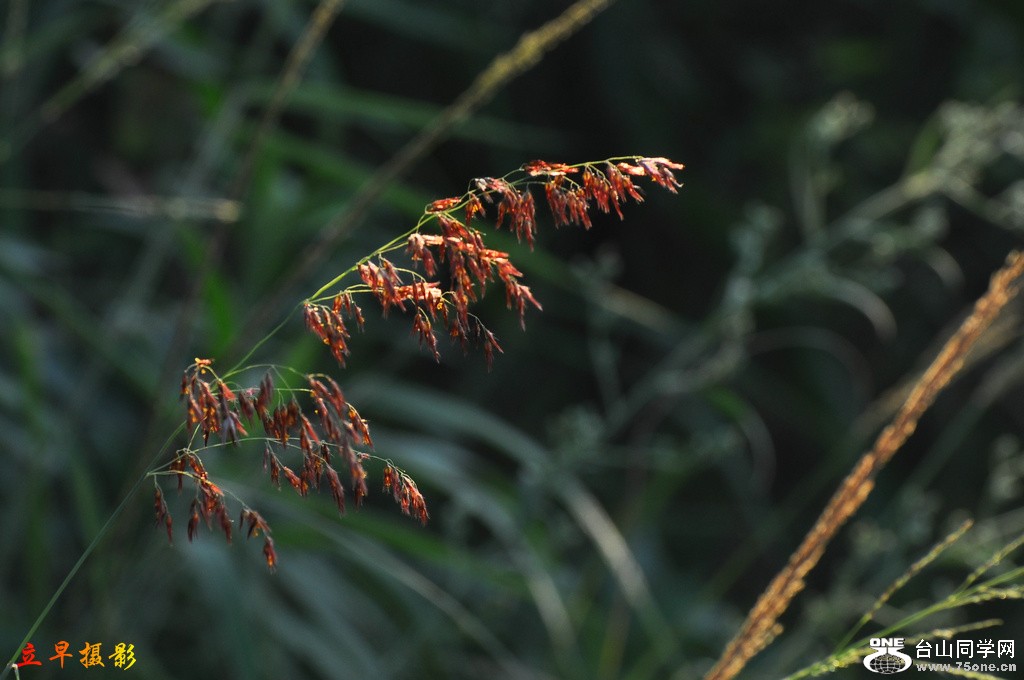 DSC_3123.JPG