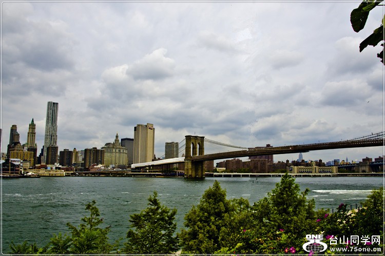 _DSC9943a.jpg