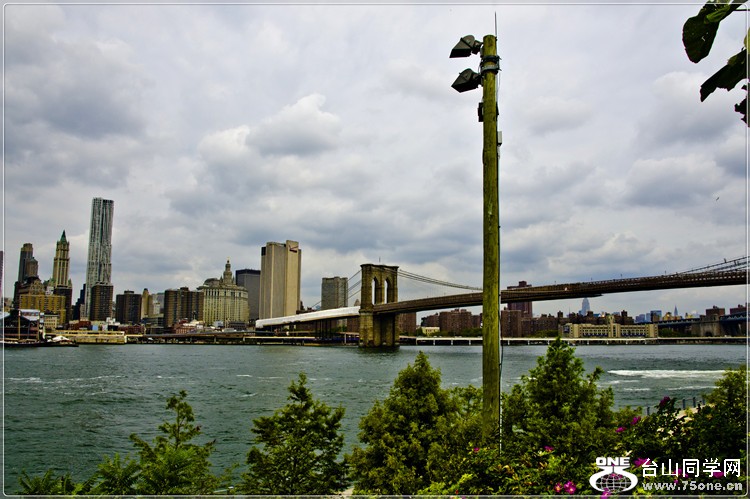 _DSC9943.jpg