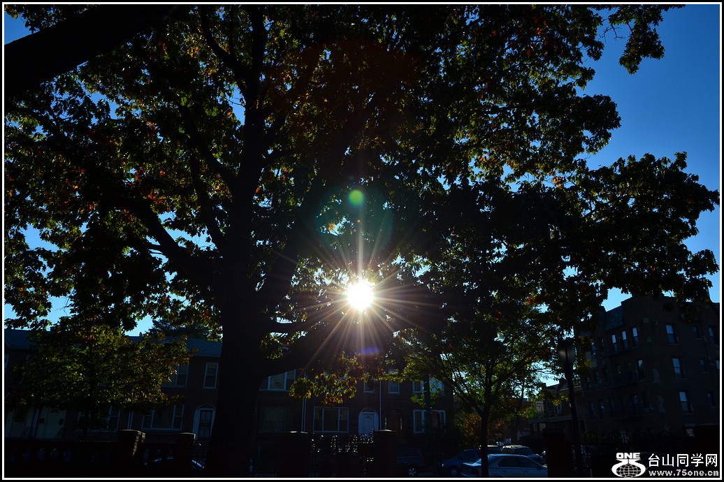 DSC_7944.jpg