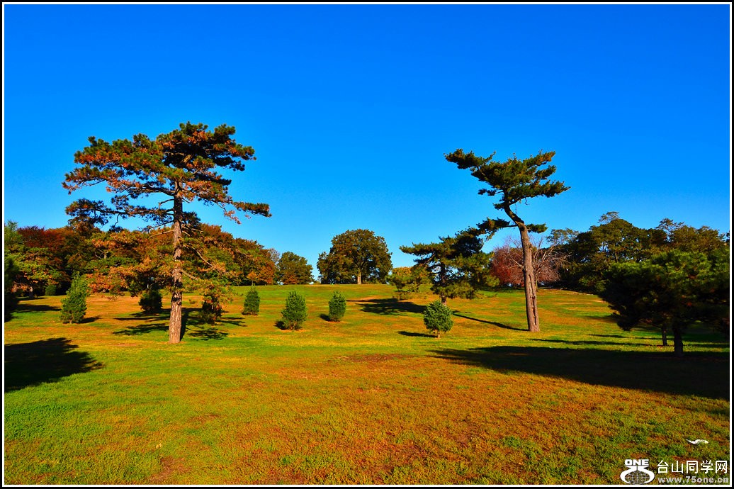 DSC_7985.jpg