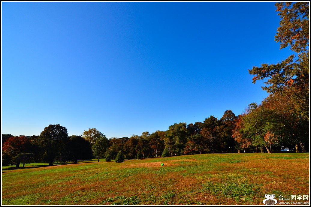 DSC_8012.jpg